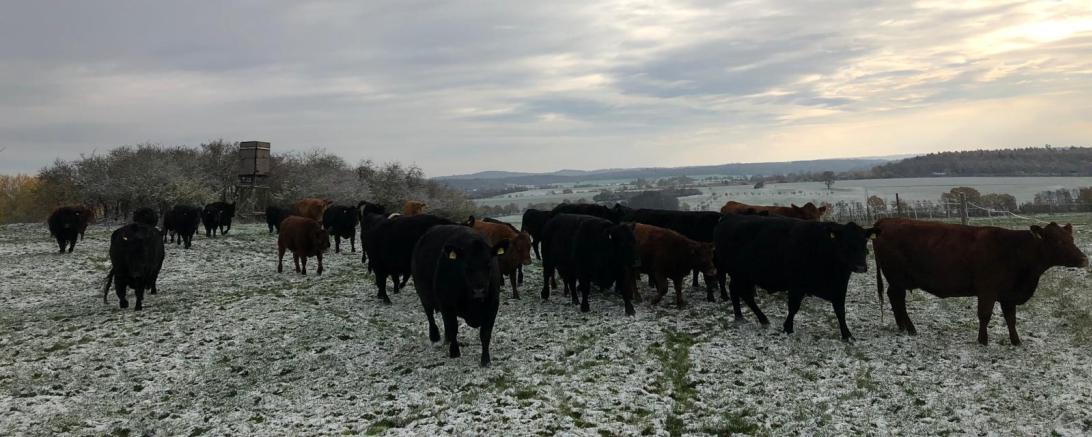 Kreisbauernverband Vogelsberg