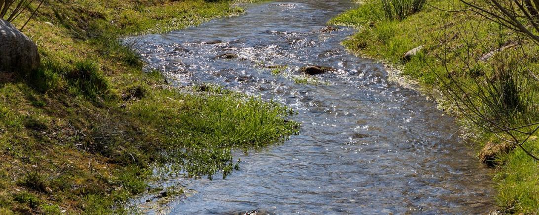 Bachlauf im Sommer