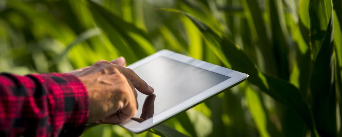Tablet Maisfeld 