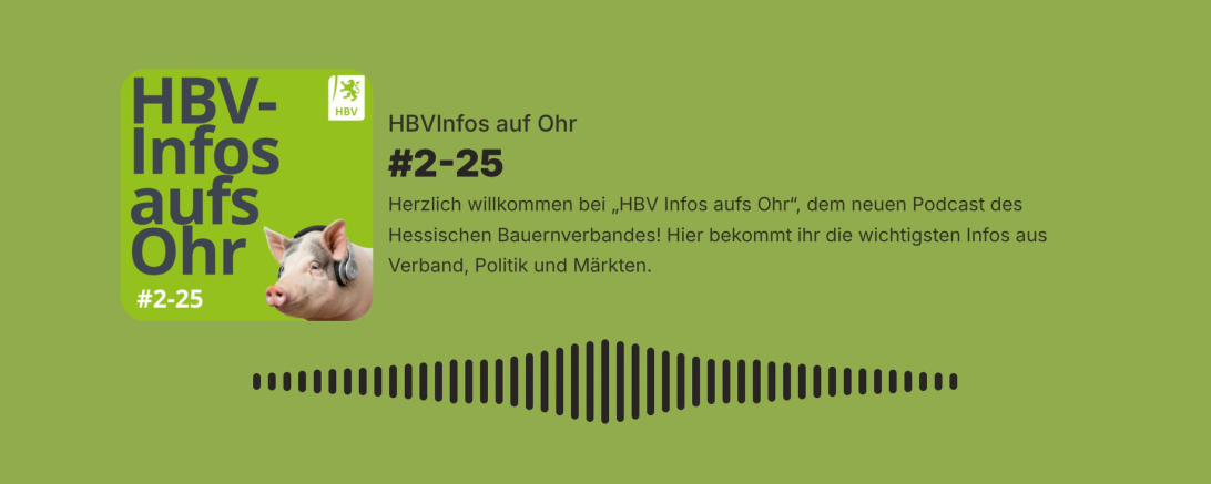 Podcast zweite Folge