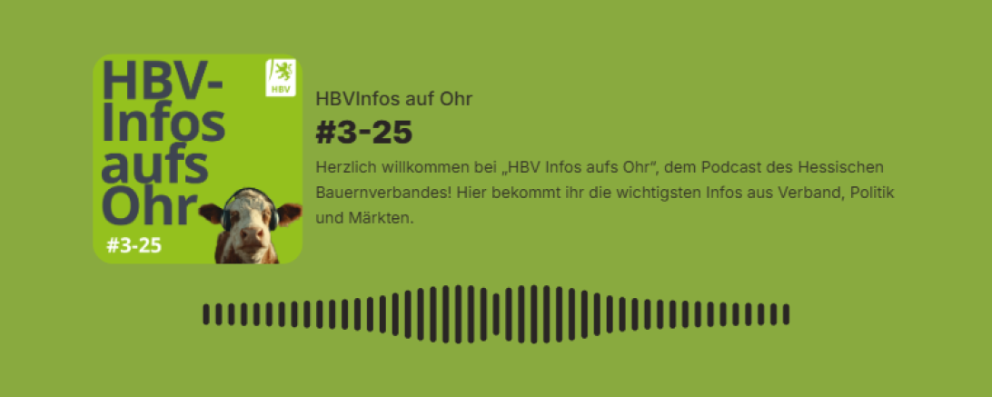Podcast dritte Folge 2025 