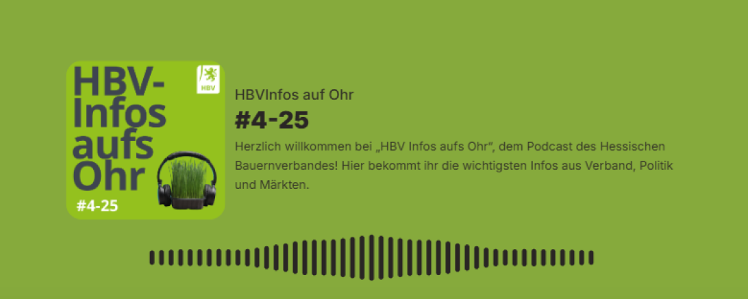 Podcast vierte Folge 2025