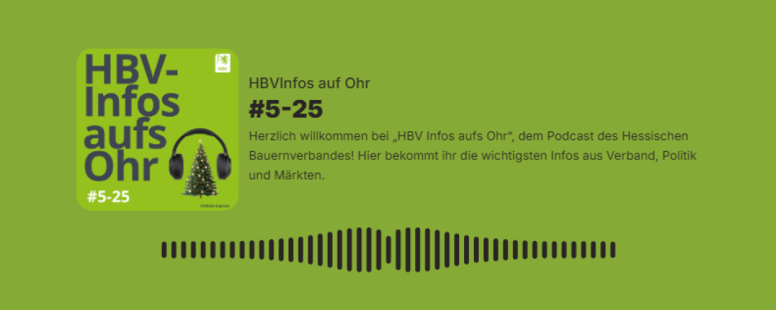 Podcastfolge #5-25