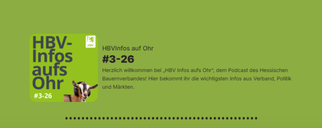 HBV-Infos aufs Ohr #3-26