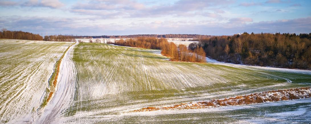 Winter Landschaft 