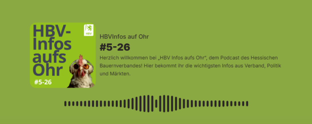 Podcast Bild 5-26 