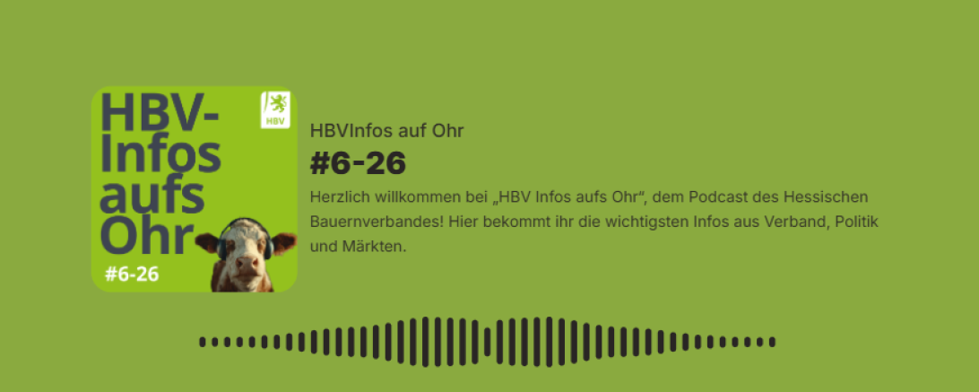 #6-26 Podcastfolge 