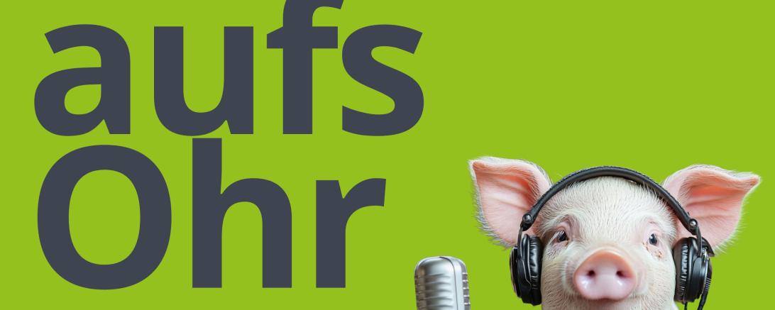 HBV-Infos aufs Ohr #4-26