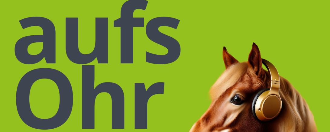 HBV-Infos aufs Ohr #7-26
