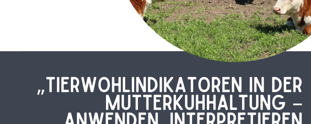 Fit for farming - “Brandschutz in der Schweinehaltung” 