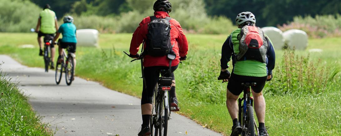 Fahrradweg neben Feld