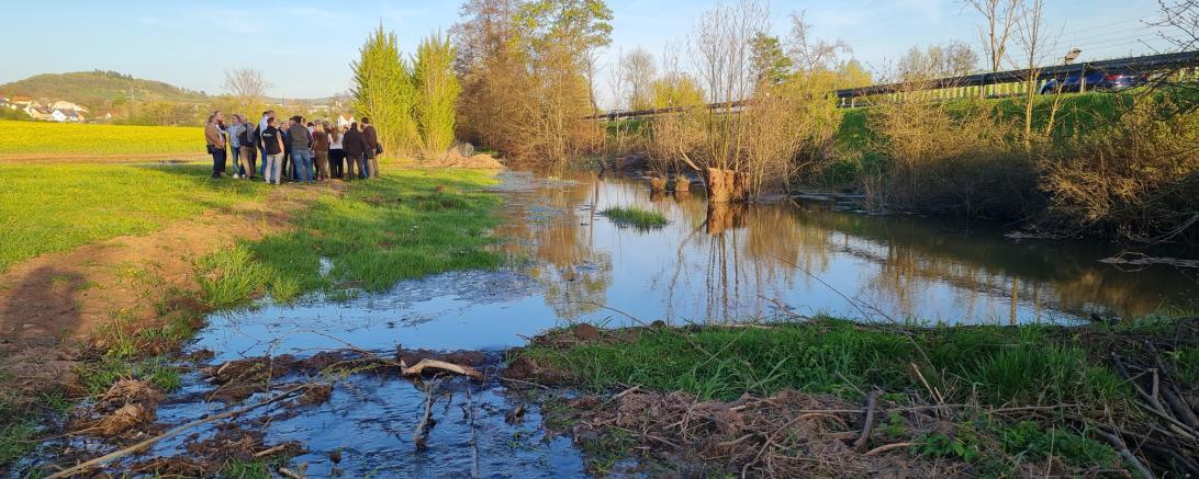 Vernässte Fläche durch Biber