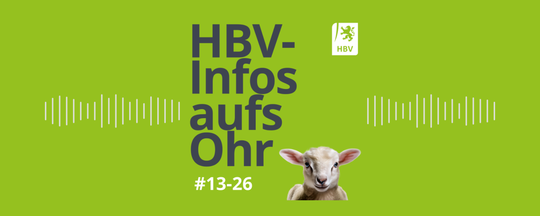 HBV-Infos aufs Ohr #12-26
