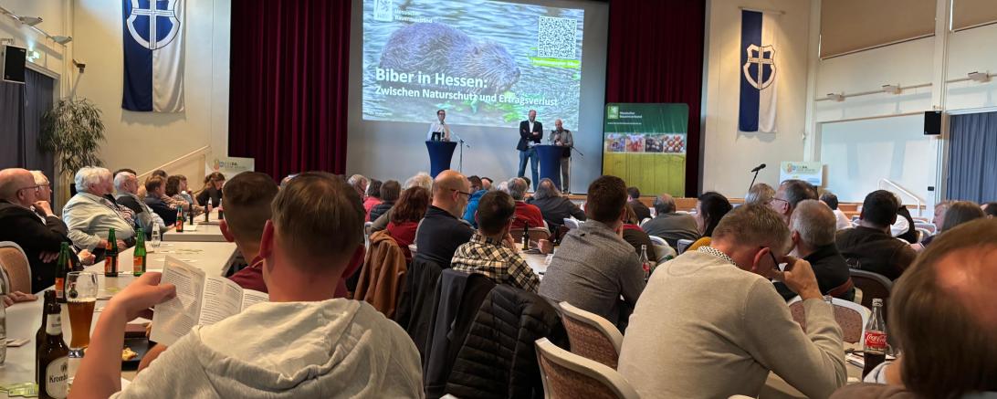 Biber Veranstaltung Fulda