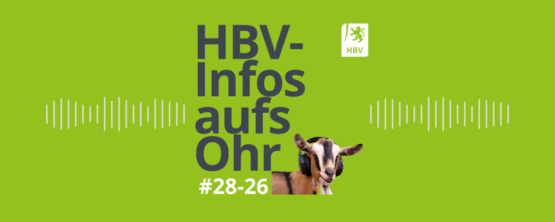 HBV-Infos aufs Ohr #28-26