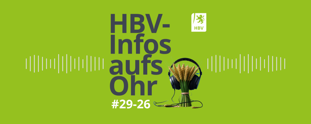 HBV-Infos aufs Ohr #29-26