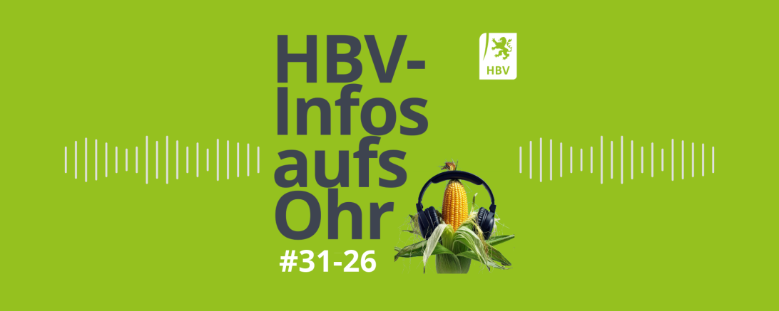 HBV-Infos aufs Ohr #31-26