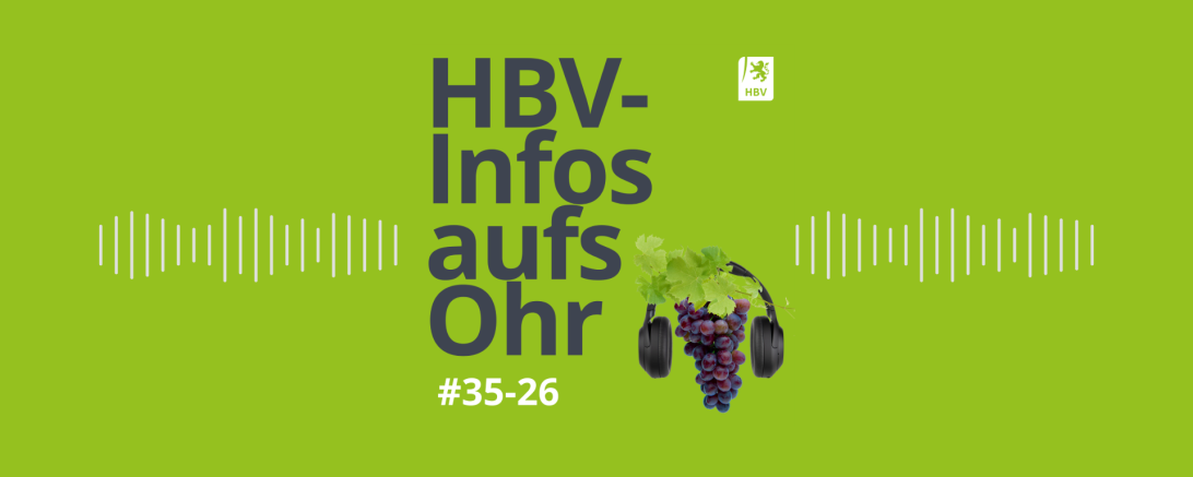 Podcast Bild #35-26
