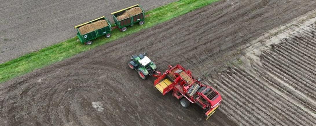 Kartoffelroder im Einsatz
