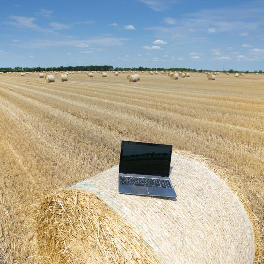 Notebook auf Strohballen