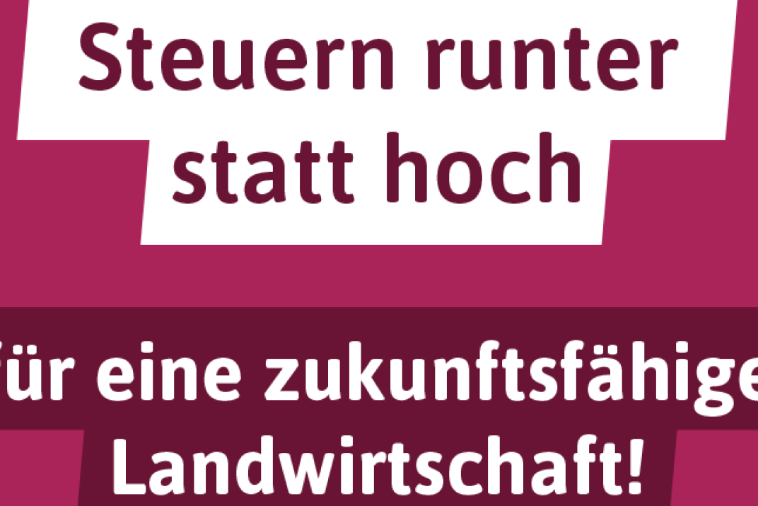 DBV Steuern runter