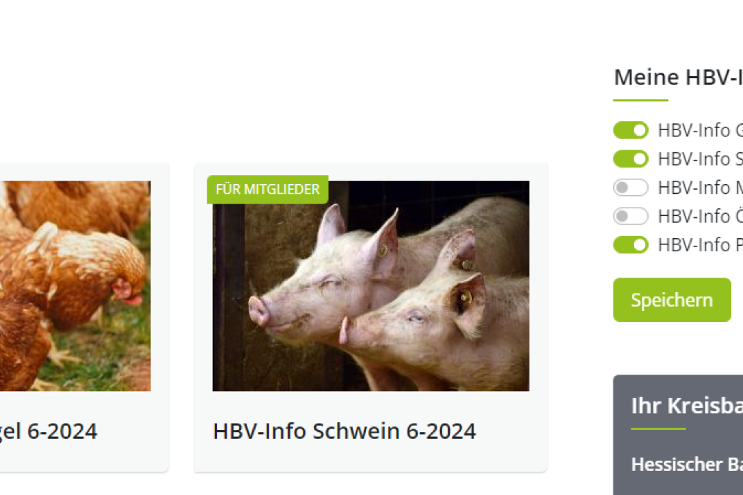 Meine HBV-Infos 