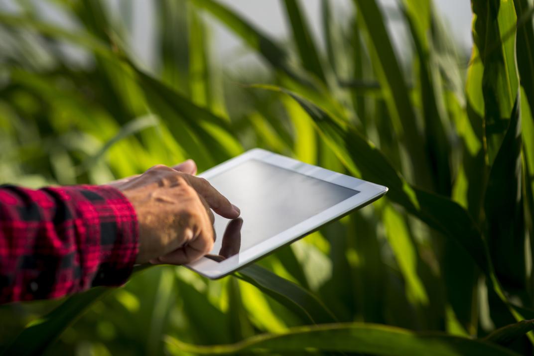 Tablet Maisfeld 
