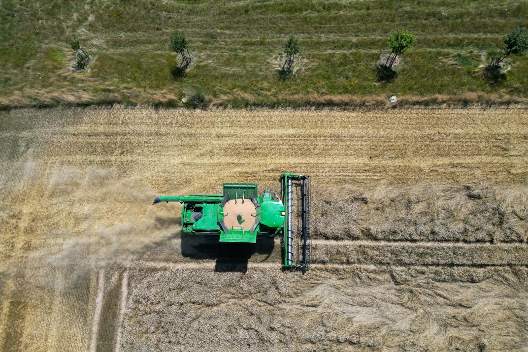 Ernte Grannenweizen Drohnenaufnahme_Luftaufnahme